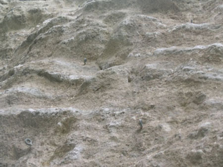 2 vias, proteções muito próximas!