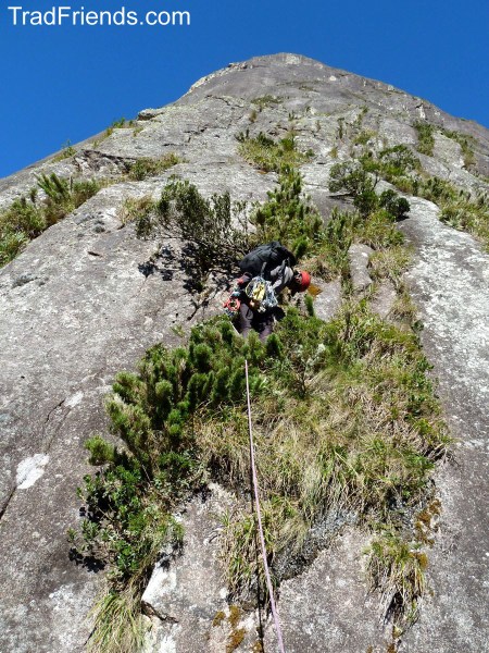 Primeira enfiada / Eco-xiitas - Ibitirati